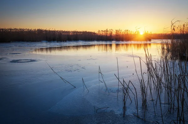 Zimní Krajina Zamrzlou Řeku Rákosí Západu Slunce Obloze Úsvitu — Stock fotografie