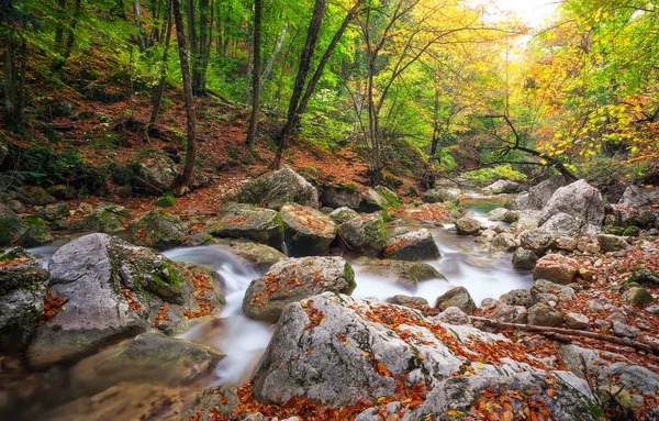 Bellissimo paesaggio autunnale con fiume di montagna e albero colorato — Foto Stock