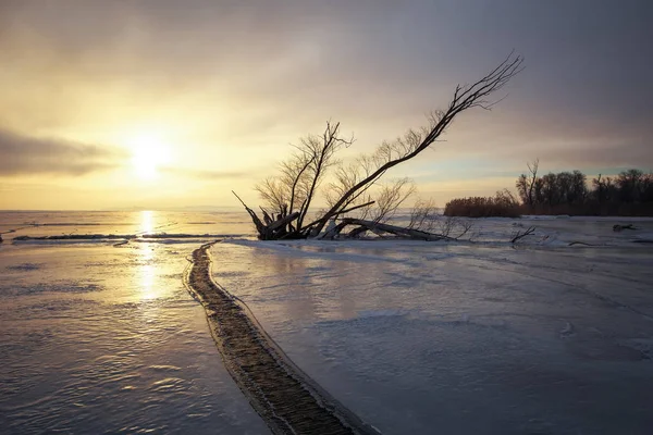 Vinterlandskap med hake på den frusna sjön nära stranden — Stockfoto