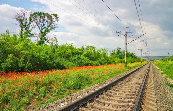 Rails du chemin de fer parmi les fleurs et les arbres — Photo