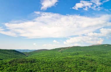 Yeşil ağaçlı dağ manzarası. Doğanın Bileşimi. 