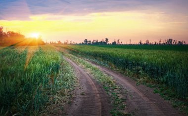 Güzel gün batımı ve yol havada, yeşil tarlalarda