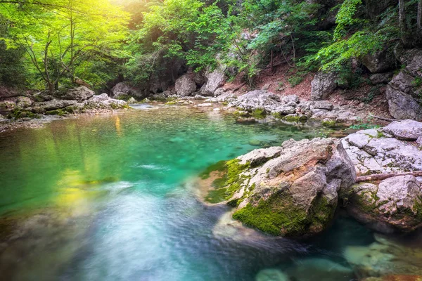 Río profundo en la montaña en verano. arroyo de agua en el bosque . — Foto de Stock