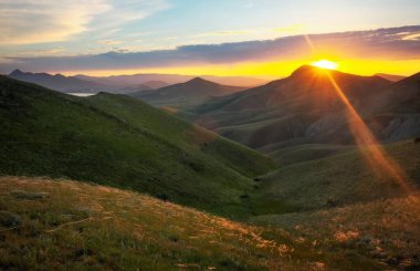 Dağlar tarlada olarak papatya. 