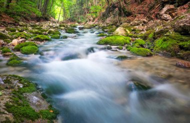 dağ nehir orman ve dağ arazi. 