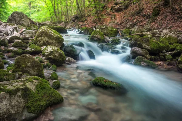 Mountain river in forest and mountain terrain. — Stock Photo, Image