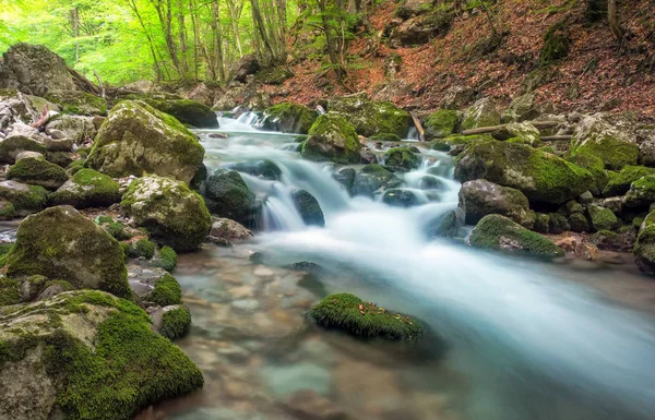 Mountain river in forest and mountain terrain. Crimea, the Grand — Stock Photo, Image