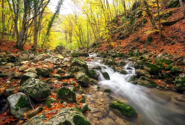 Autunno boschi torrente con alberi gialli fogliame e rocce nella foresta — Foto Stock