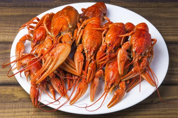 흰색 접시에 맛 있는 삶은 crayfishes — 스톡 사진