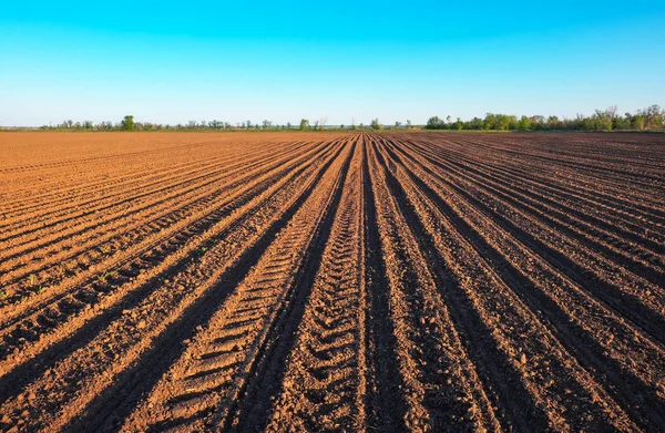 Voorbereiding veld voor opplant. Geploegd bodem in het voorjaar met blauwe lucht — Stockfoto