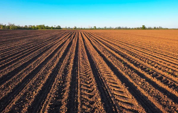 Preparing field for planting. — Stock Photo, Image