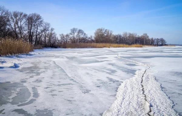冬の風景冷凍川の木と葦 — ストック写真
