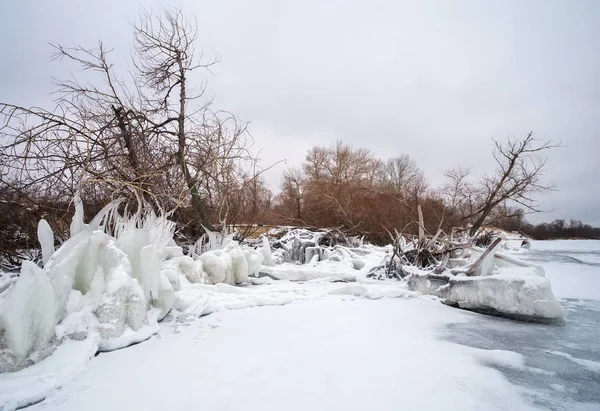 Icículos y heladas ramas congeladas de árboles en la costa . — Foto de Stock