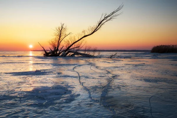 Zimní krajina s zádrhel na zamrzlé jezero nedaleko pobřeží — Stock fotografie