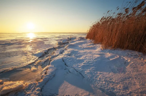 Paesaggio invernale con lago ghiacciato, crepe, canne e cielo al tramonto . — Foto Stock