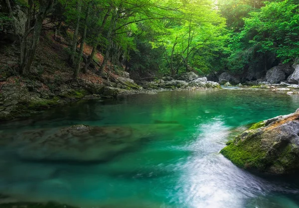Летом река глубоко в горах. Водный поток в лесу . — стоковое фото