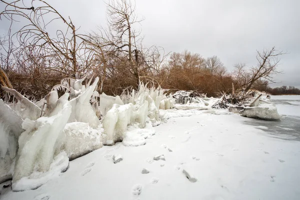 Icicles Icy Frozen Branches Tree Coast Hermosa Escena Invierno — Foto de Stock