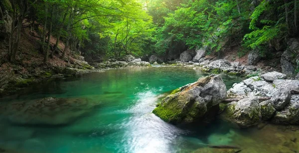 River deep in mountain at summer. Water stream at forest. Panorama — Stock Photo, Image