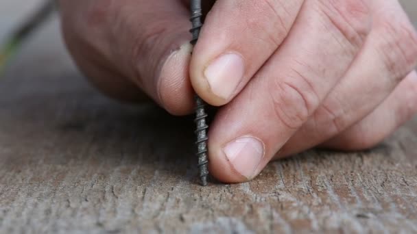 Vis enfoncées dans du bois. Vis a été serrée par perceuse électrique .