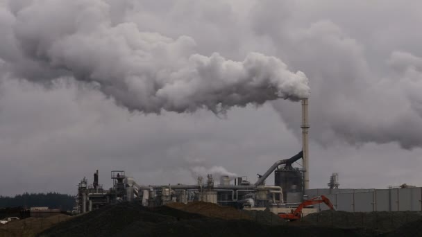 Inquinamento atmosferico atmosferico da fumo industriale ora. Impianto di tubi in acciaio. Fumo spesso e vapore di produzione MDF. Lavori in autunno Giornata nuvolosa . — Video Stock