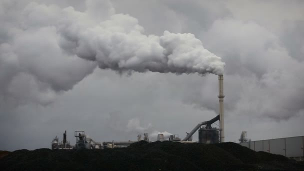 现在工业烟雾造成的大气污染 钢管厂 中纤板生产的浓烟和蒸汽 — 图库视频影像