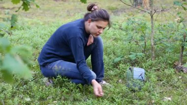 Genç kadın yaban mersini ormandaki eller tarafından toplar.