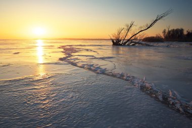 Kış manzarası ile kıyıya yakın donmuş göl üzerinde Budak