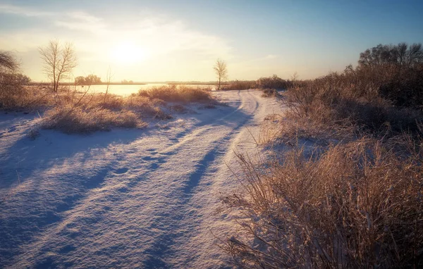 Kış karla kaplı yol, bitkiler ve ağaçlar Frost, sahil o — Stok fotoğraf