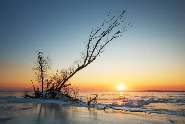 Vinterlandskap med hake på den frusna sjön nära stranden — Stockfoto