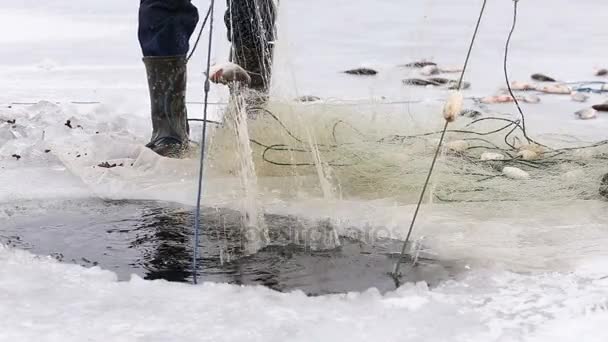 漁民たちは 凍った池の穴から魚を引き出します 冬の釣り — ストック動画