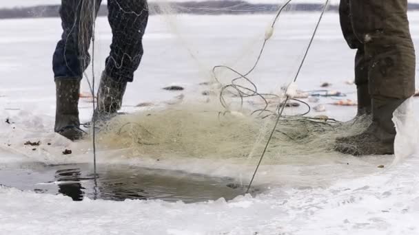 Pescatori Tirano Fuori Pesci Dal Buco Uno Stagno Ghiacciato Pesca — Video Stock