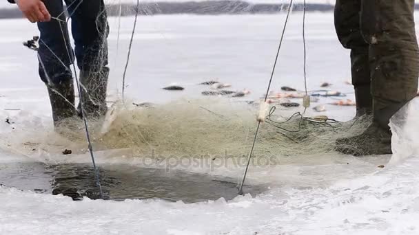 Pescadores Puxar Peixes Para Fora Buraco Uma Lagoa Congelada Pesca — Vídeo de Stock