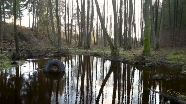 Pneu Velho Outro Lixo Jaz Margem Rio Alagado Poluição Ambiental — Vídeo de Stock