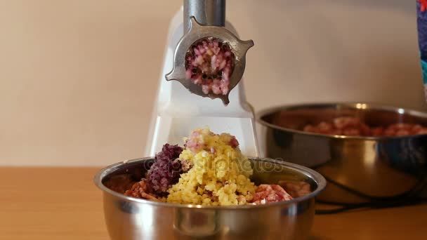 Mettre Viande Hachée Mélange Légumes Dans Hachoir Maison Cuisson Viande — Video