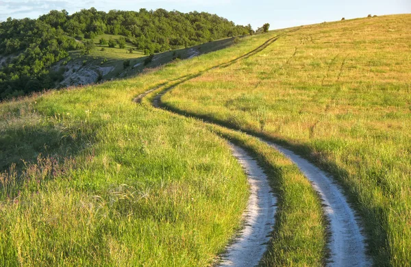 Yatay yaz yeşil çimen, yol ve ağaçlar — Stockfoto