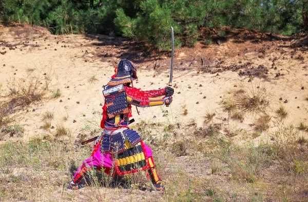 Hombre con armadura de samurai con espada, listo para la batalla . — Foto de Stock