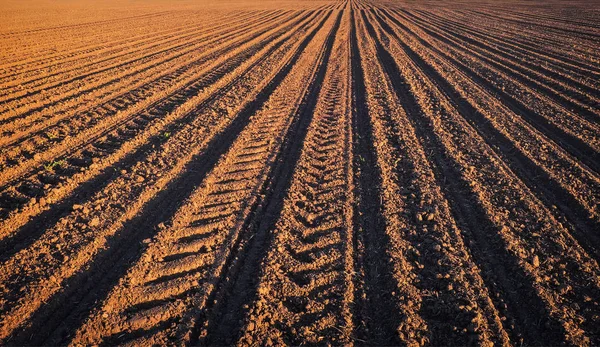 Rows of soil before planting. — Stock Photo, Image