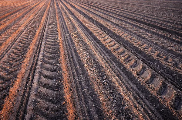 Bodenreihen vor der Pflanzung. — Stockfoto