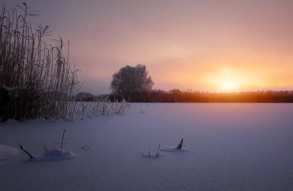 Hermoso paisaje de invierno. — Foto de Stock