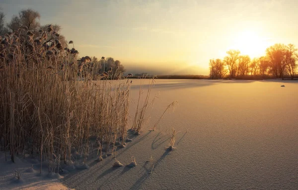 Beau paysage d'hiver. — Photo