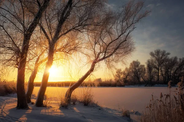 Linda paisagem de inverno. — Fotografia de Stock