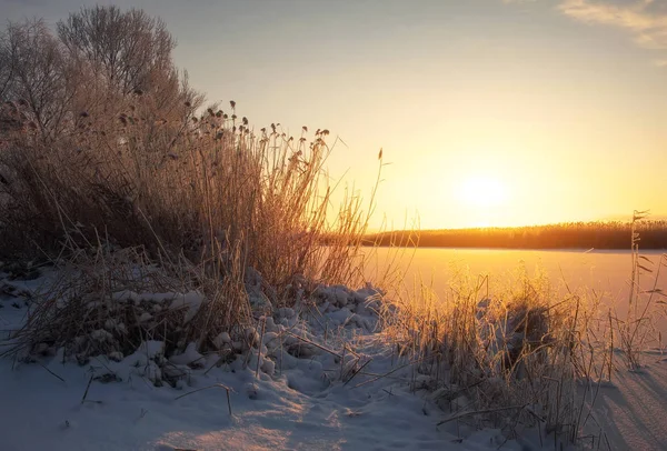 Hermoso paisaje de invierno. — Foto de Stock