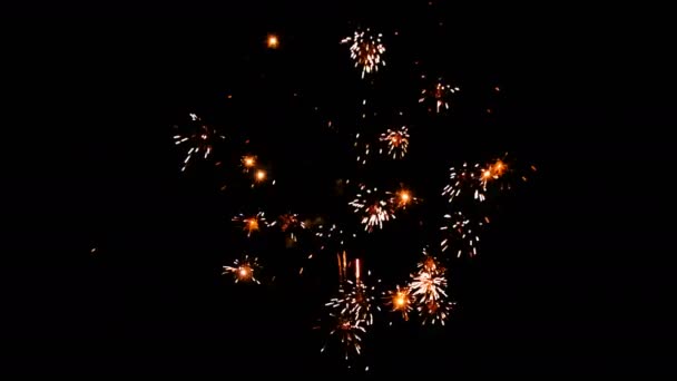 Feux Artifice Colorés Lors Nuit Vacances Vidéo Saluts — Video