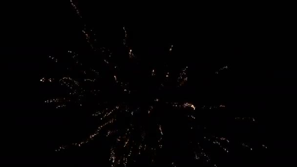 Feux d'artifice colorés lors de la nuit de vacances. Vidéo 4k de saluts .
