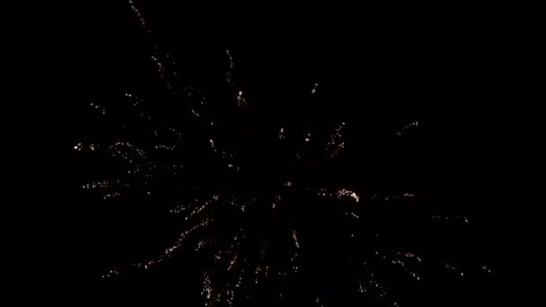 Feux Artifice Colorés Lors Nuit Vacances Vidéo Saluts — Video