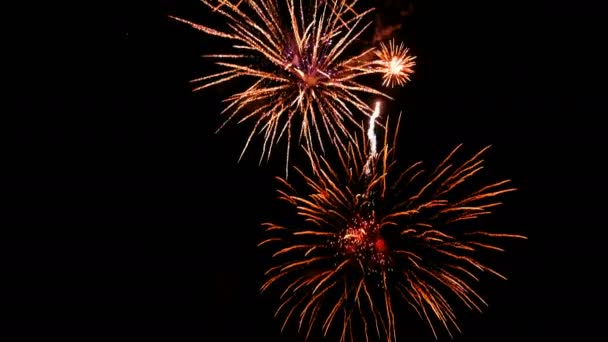 Feux d'artifice colorés lors de la nuit de vacances. Vidéo 4k de saluts .