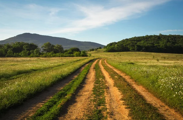 Landschap met vuil weg tussen weide in het voorjaar. — Stockfoto