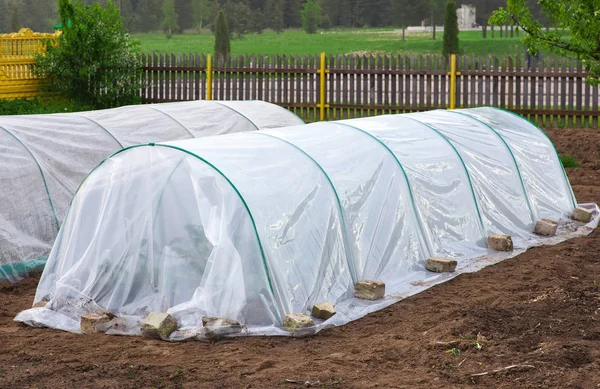 Grönsaksland med plantor täckt med spunbond och polyeten film att hålla luftfuktigheten — Stockfoto