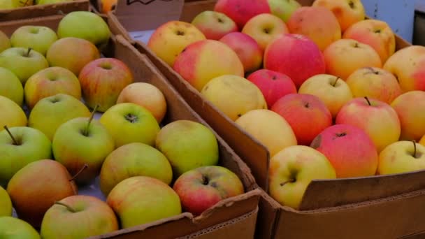 Marktplatz Vordergrund Bunte Äpfel Schachteln Frisches Obst Auf Dem Markt — Stockvideo