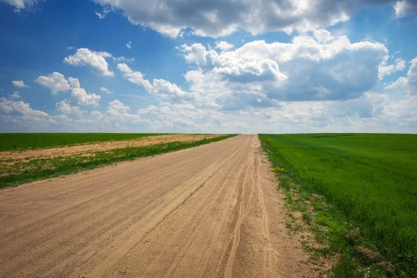 Mooi landschap met groene velden, weg en blauwe bewolkte hemel — Stockfoto